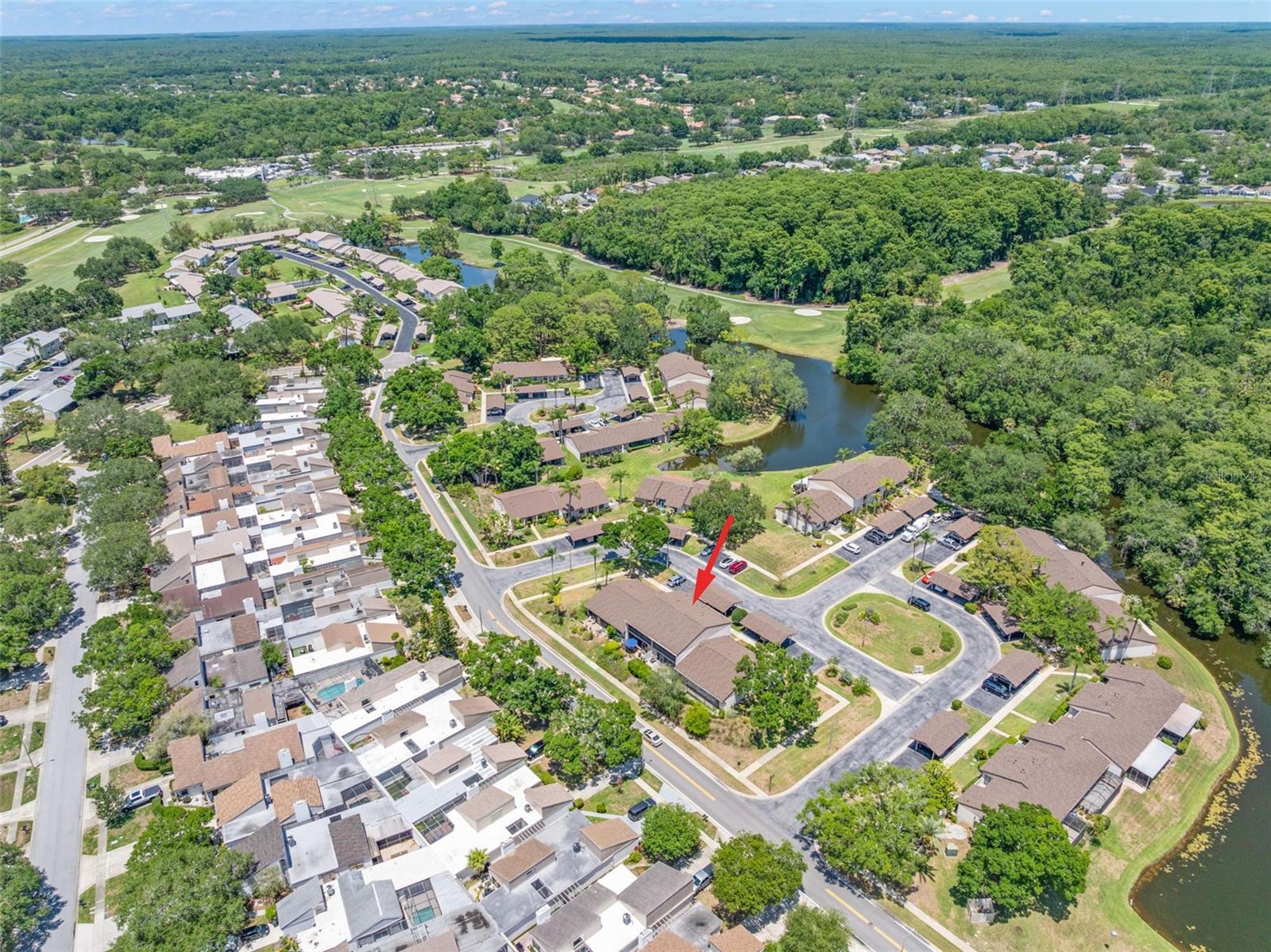 EAST LAKE WOODLANDS CLUSTER HOMES - Residential