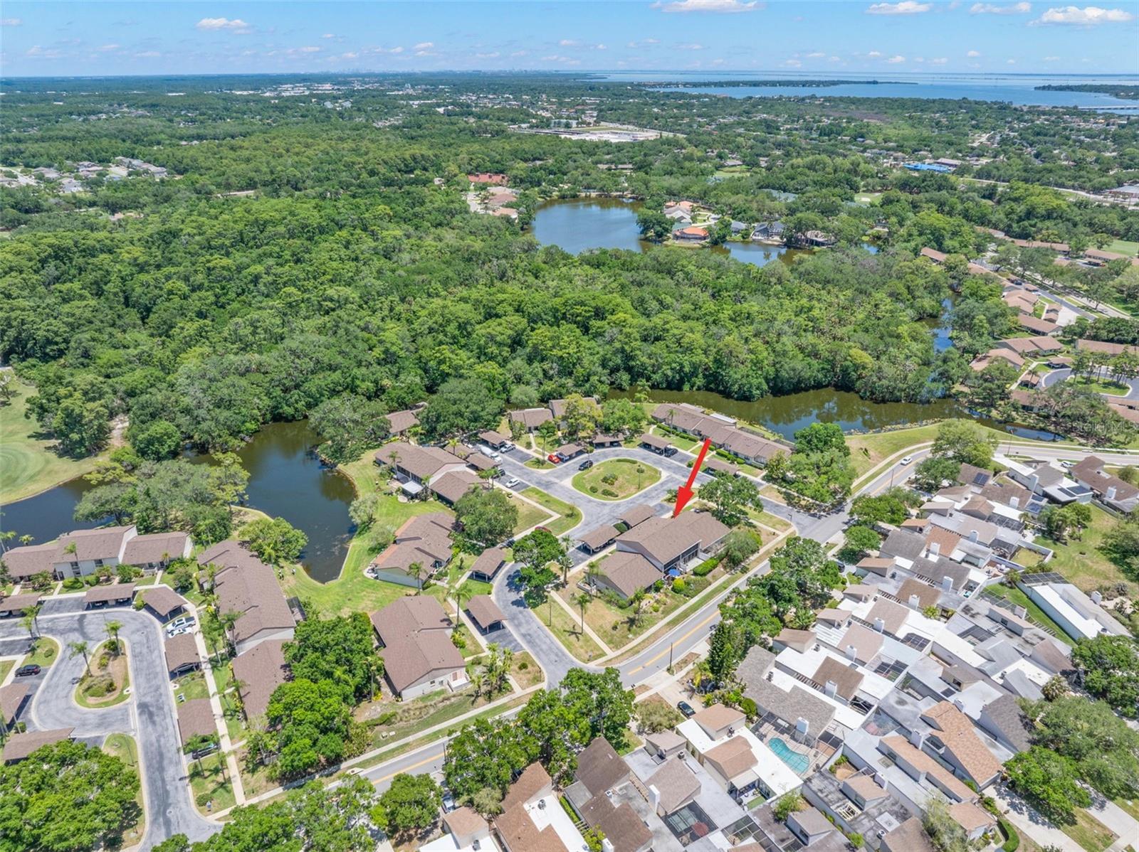 EAST LAKE WOODLANDS CLUSTER HOMES - Residential