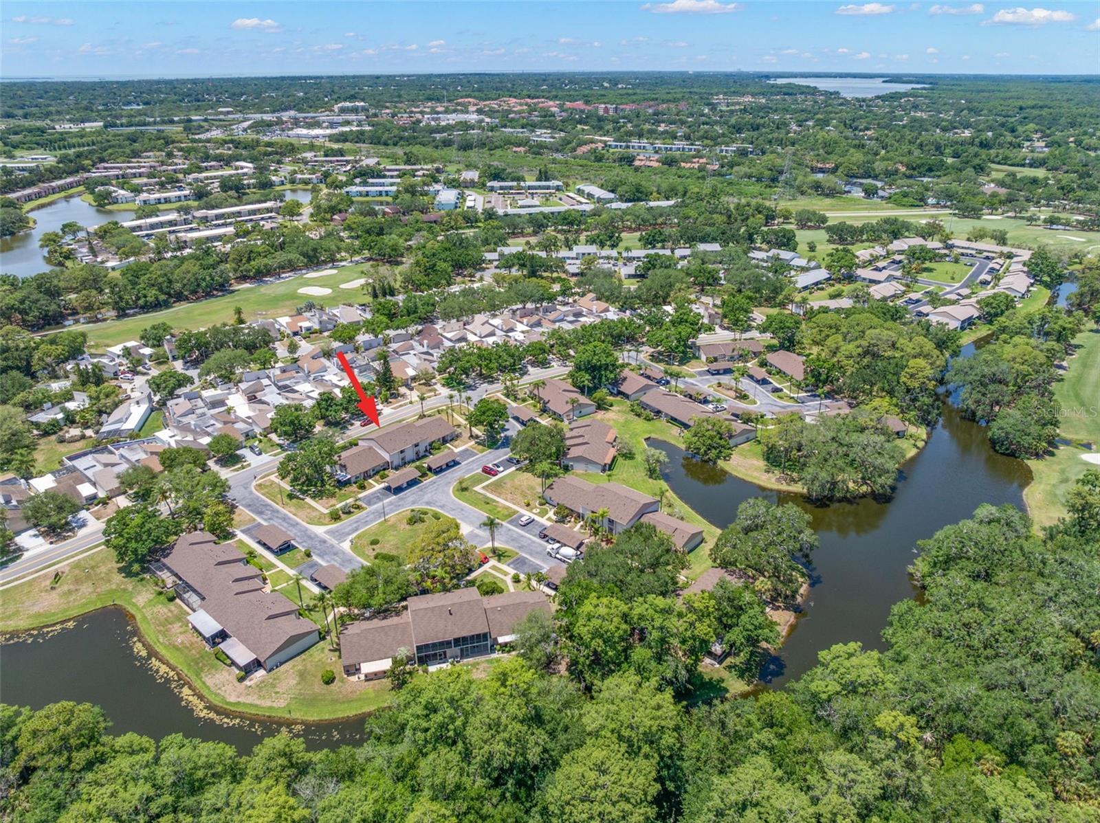 EAST LAKE WOODLANDS CLUSTER HOMES - Residential