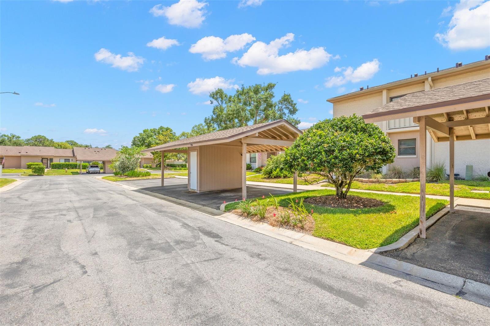EAST LAKE WOODLANDS CLUSTER HOMES - Residential