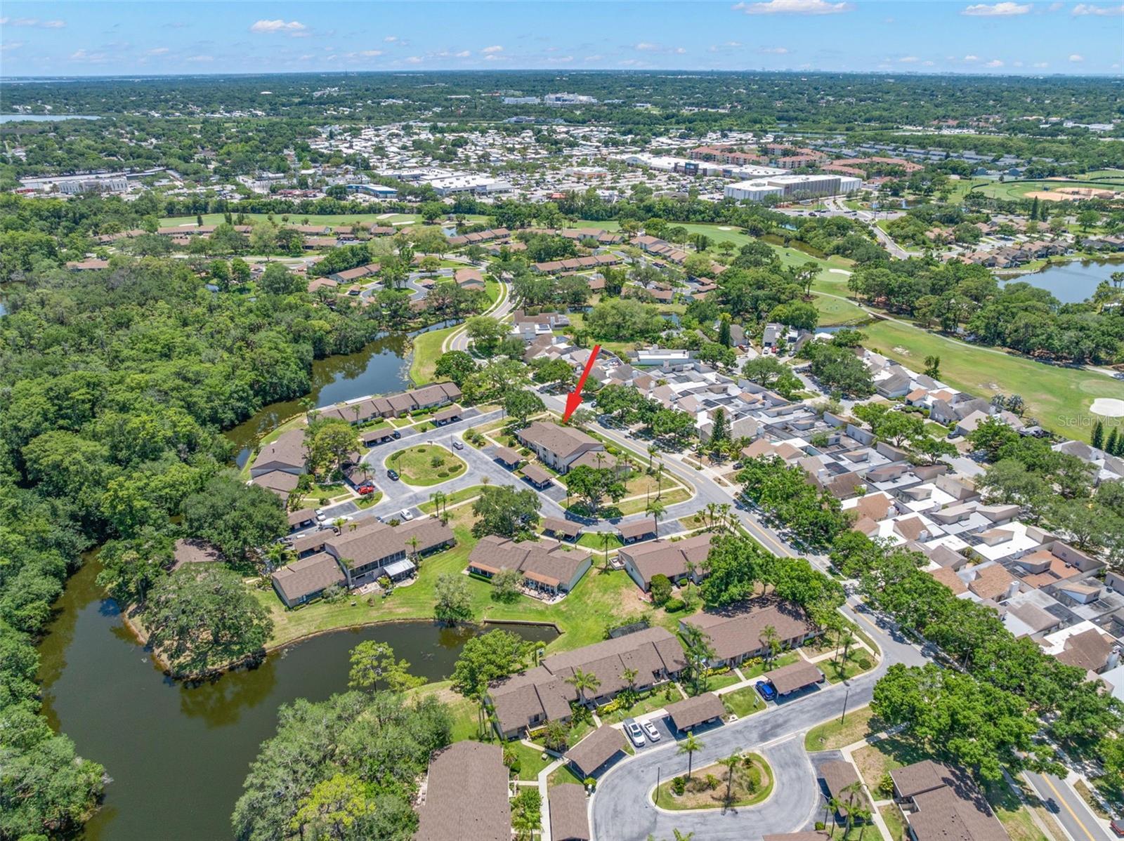 EAST LAKE WOODLANDS CLUSTER HOMES - Residential