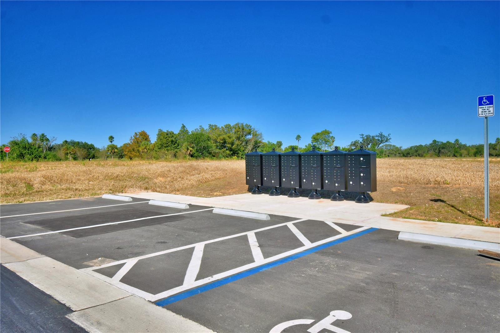 1215 HICKORY NUT DRIVE