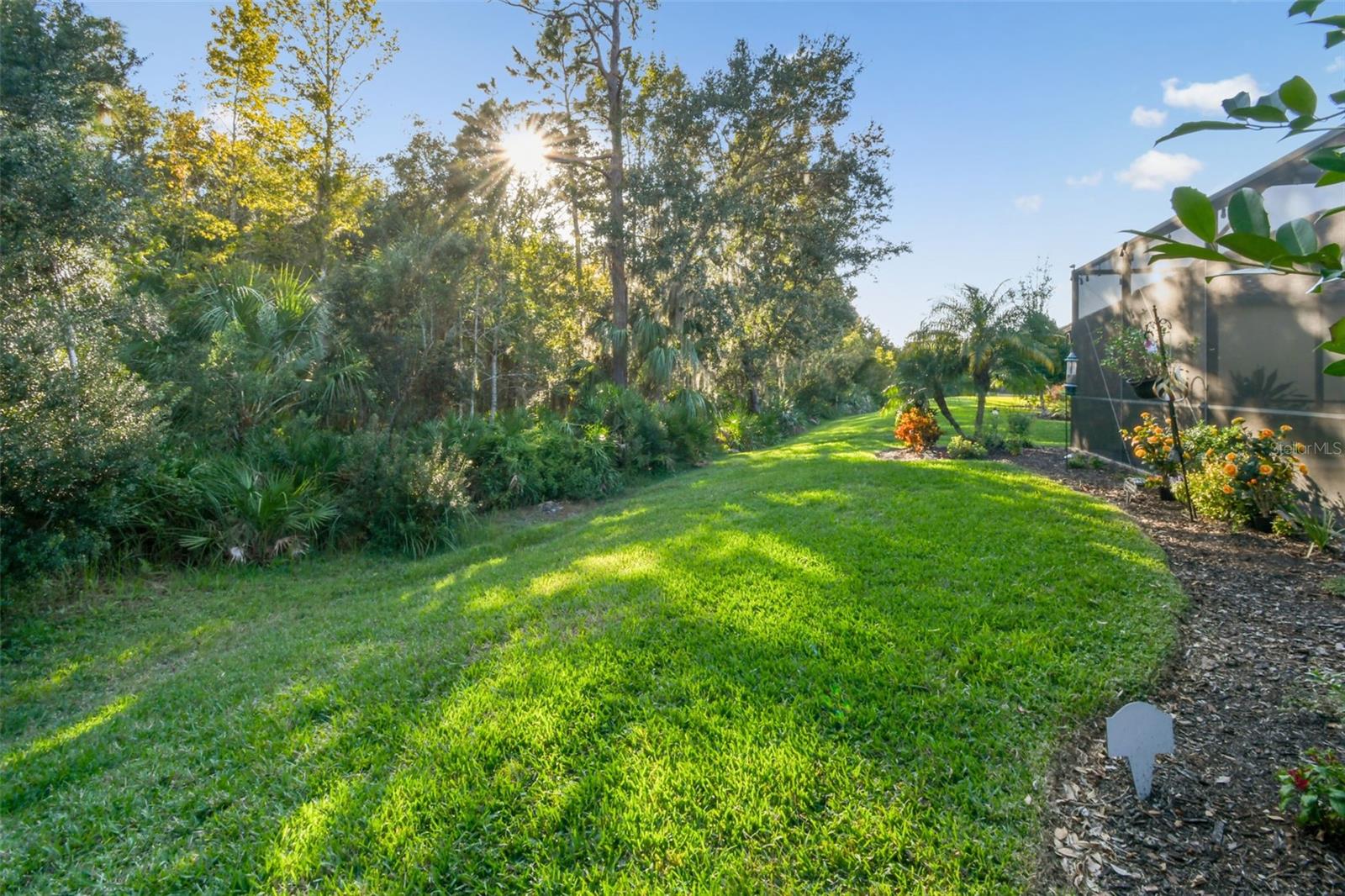 ESPLANADE OF TAMPA - Residential