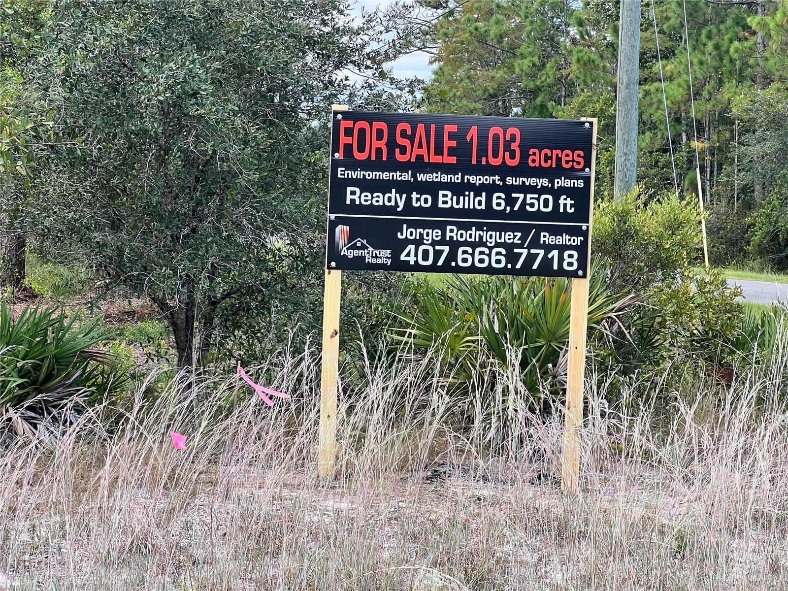 DALLAS BOULEVARD