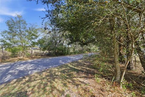 Tiny photo for 10689 SE 174th Loop, Summerfield, FL 34491 (MLS # G5109057)
