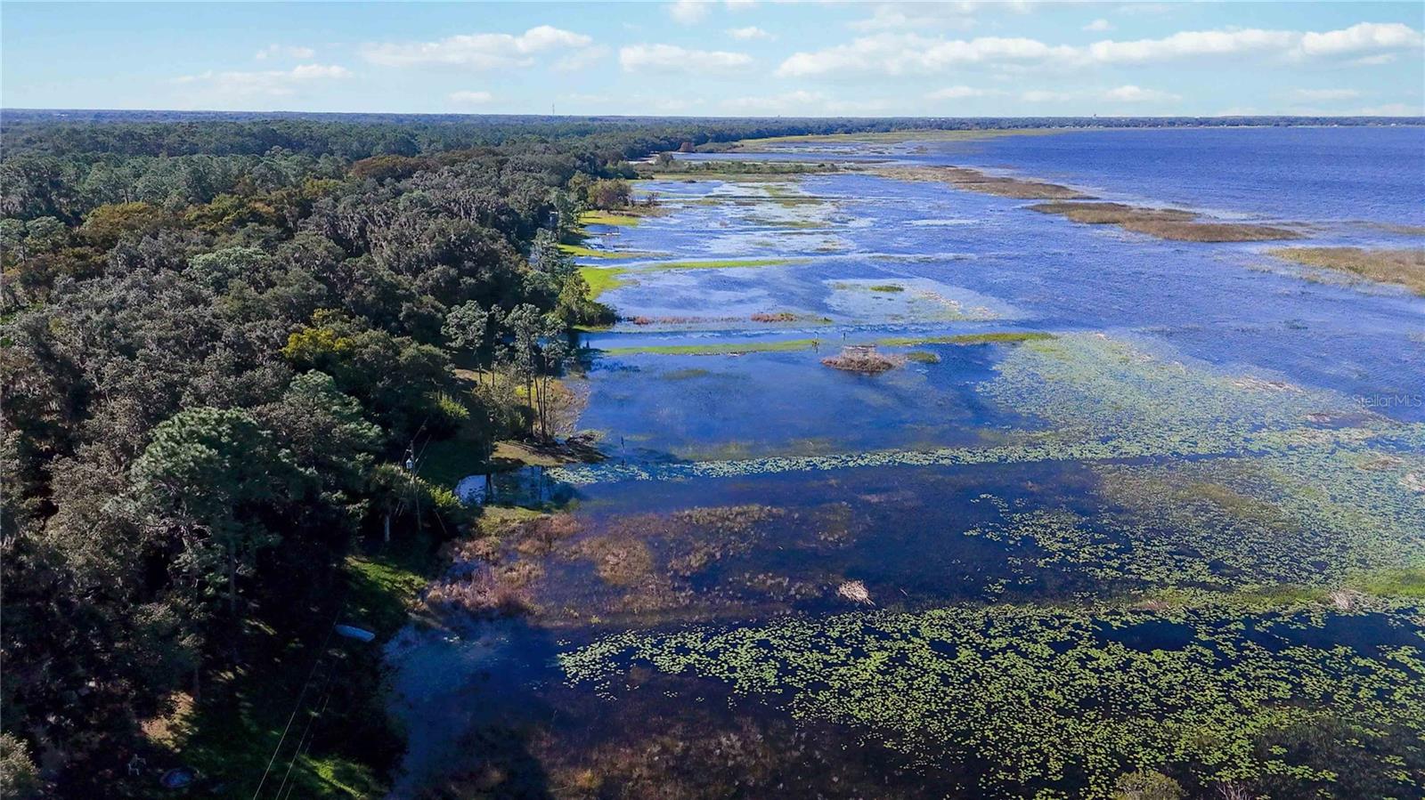 RUNNYMEDE NORTH HALF TOWN OF - Land