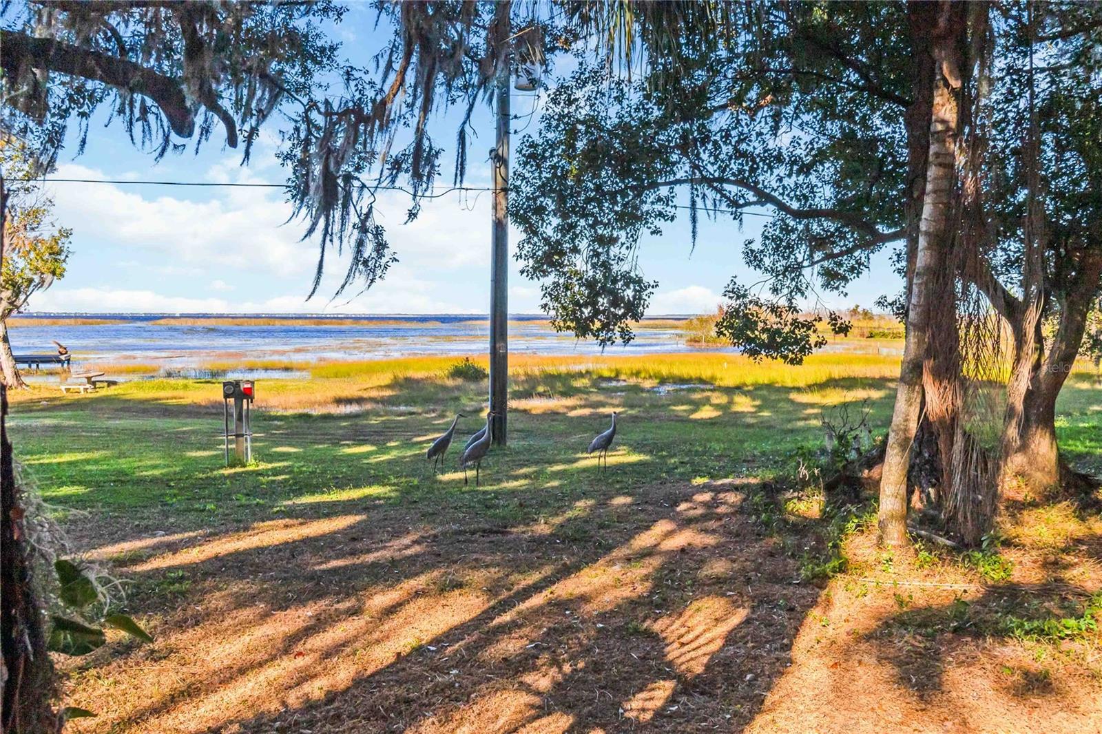 RUNNYMEDE NORTH HALF TOWN OF - Land