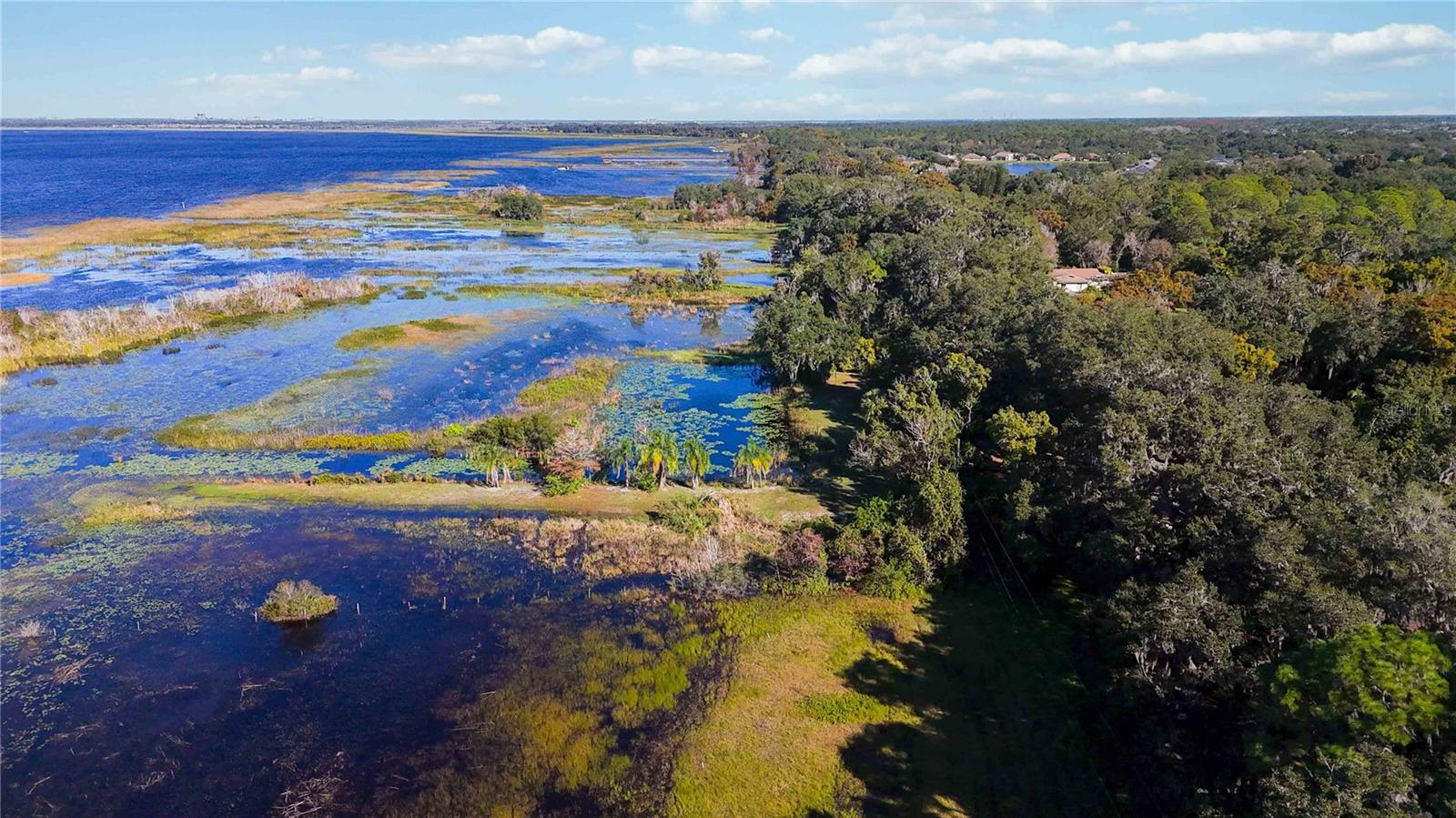 RUNNYMEDE NORTH HALF TOWN OF - Land