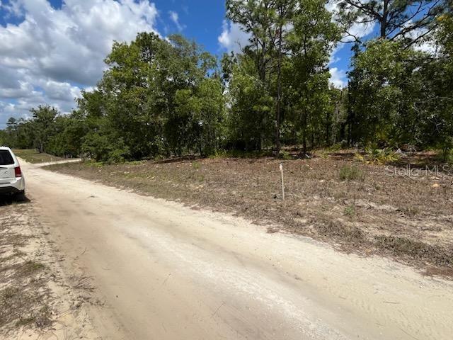 HILLS FLORIDA WOODS UNREC - Land