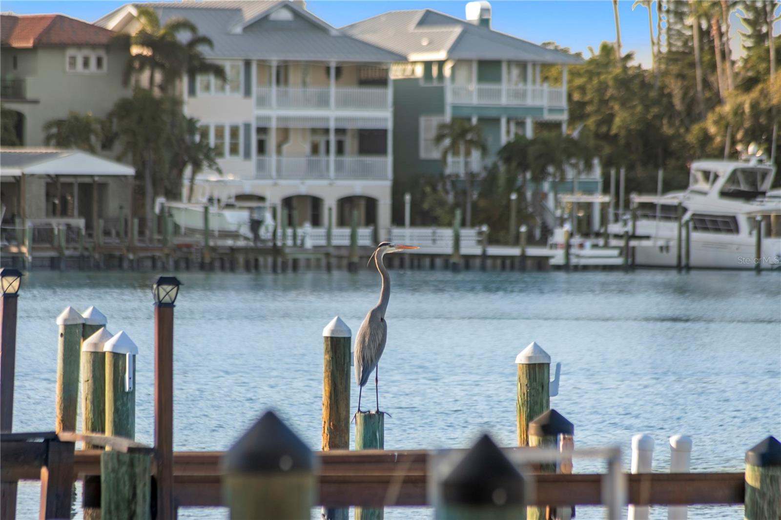 VINA-DEL-MAR SEC 3 - Residential