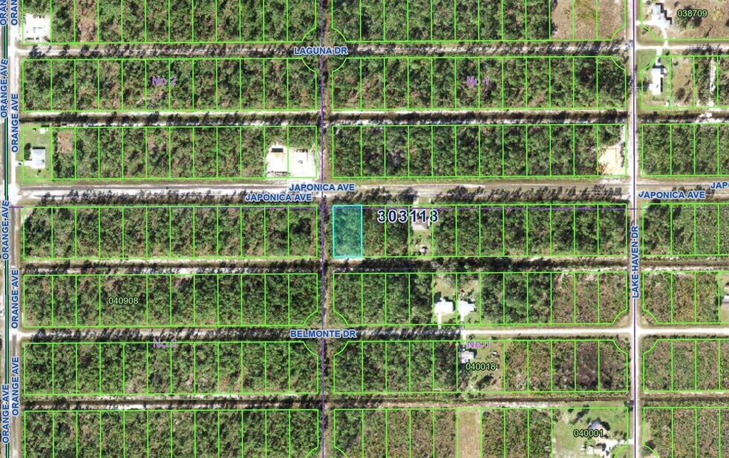 Photo of 623 Japonica Avenue, Indian Lake Estates, FL 33855 (MLS # O6391605)