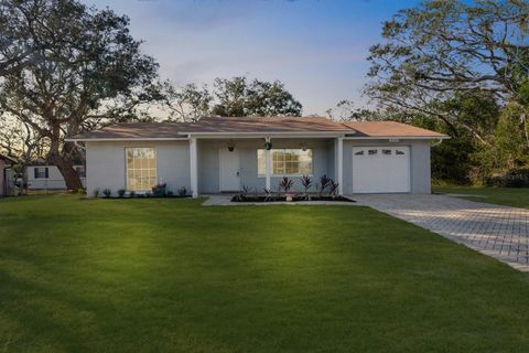 A home in SPRING HILL