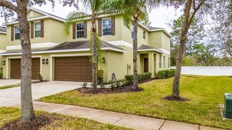 8609 FIDDLELEAF COURT TAMPA FL 33647