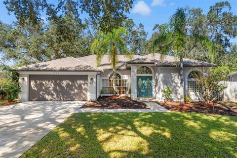 A home in TAMPA