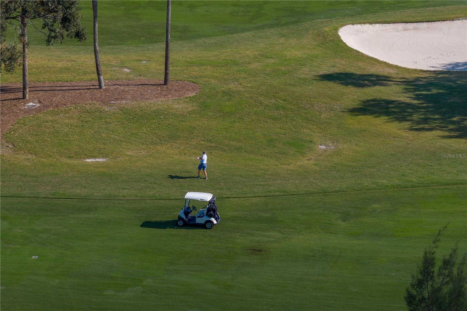 SNELL ISLES ESTATES - Residential