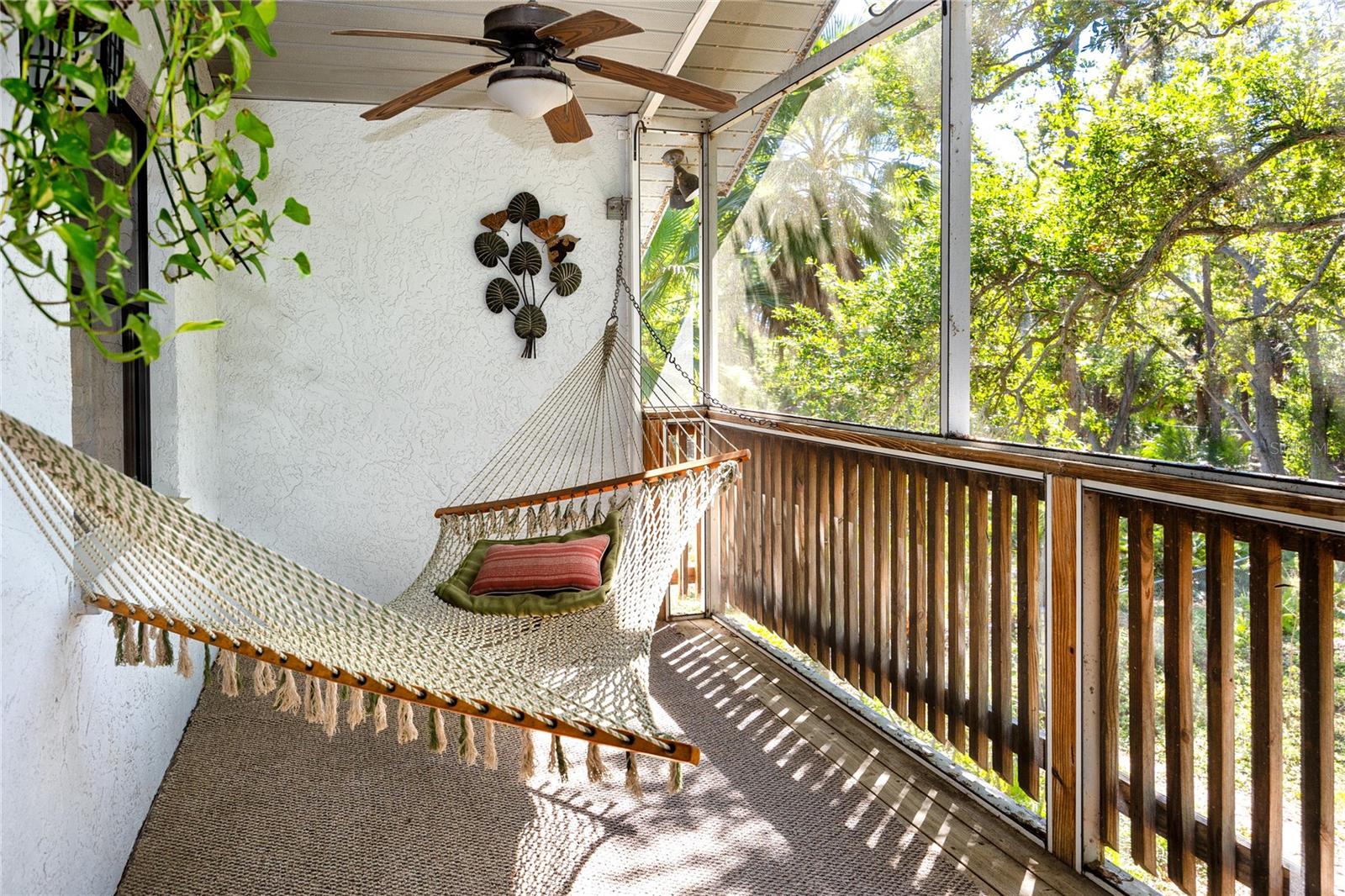 PINELLAS GROVES - Residential