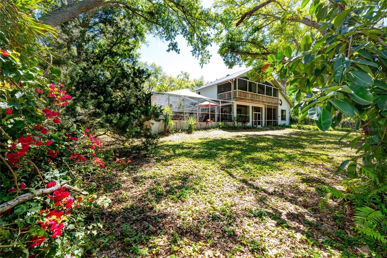 PINELLAS GROVES - Residential