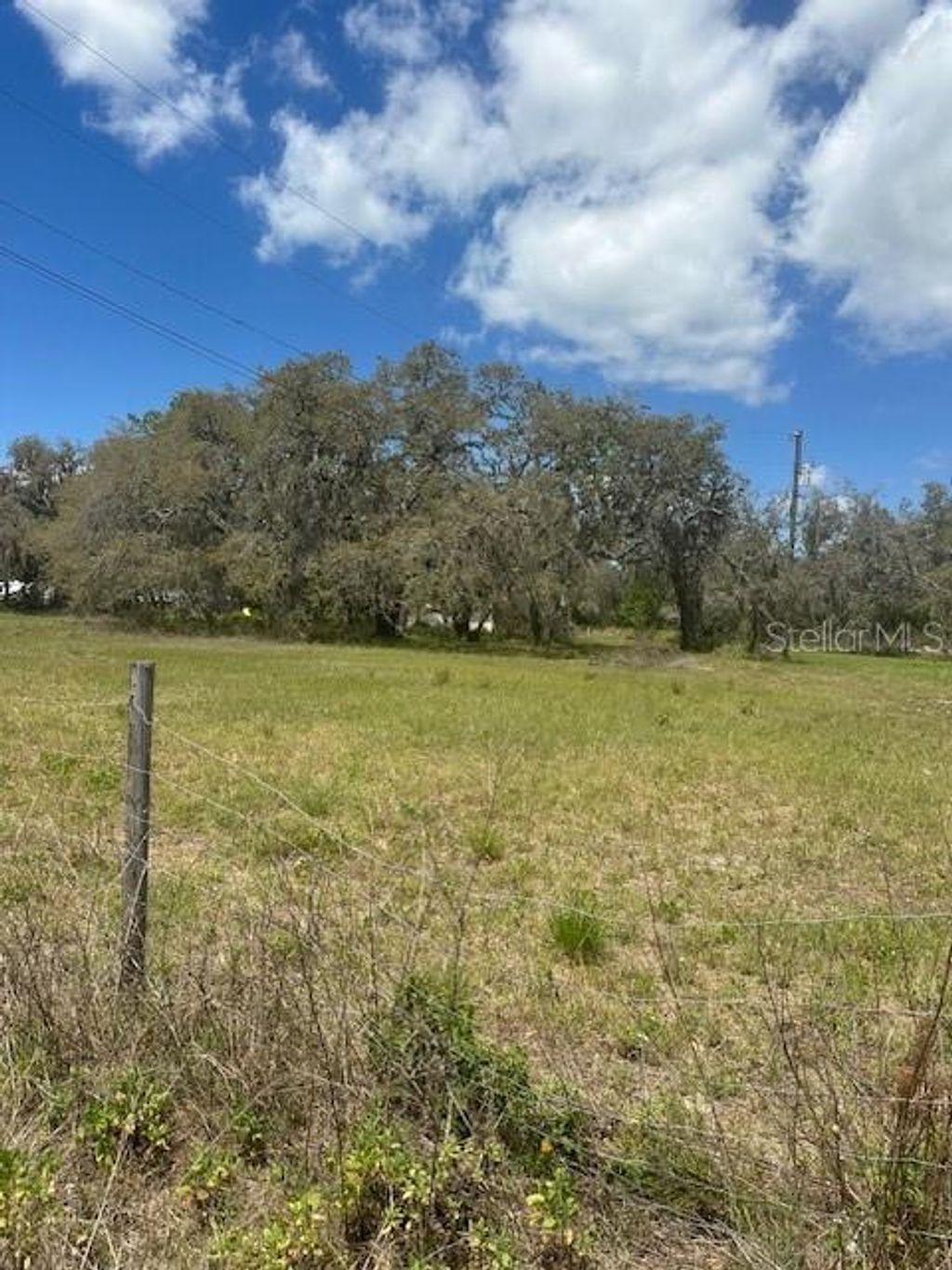 Photo of 29707 Cooper Road, Wesley Chapel, FL 33545 (MLS # TB8451252)