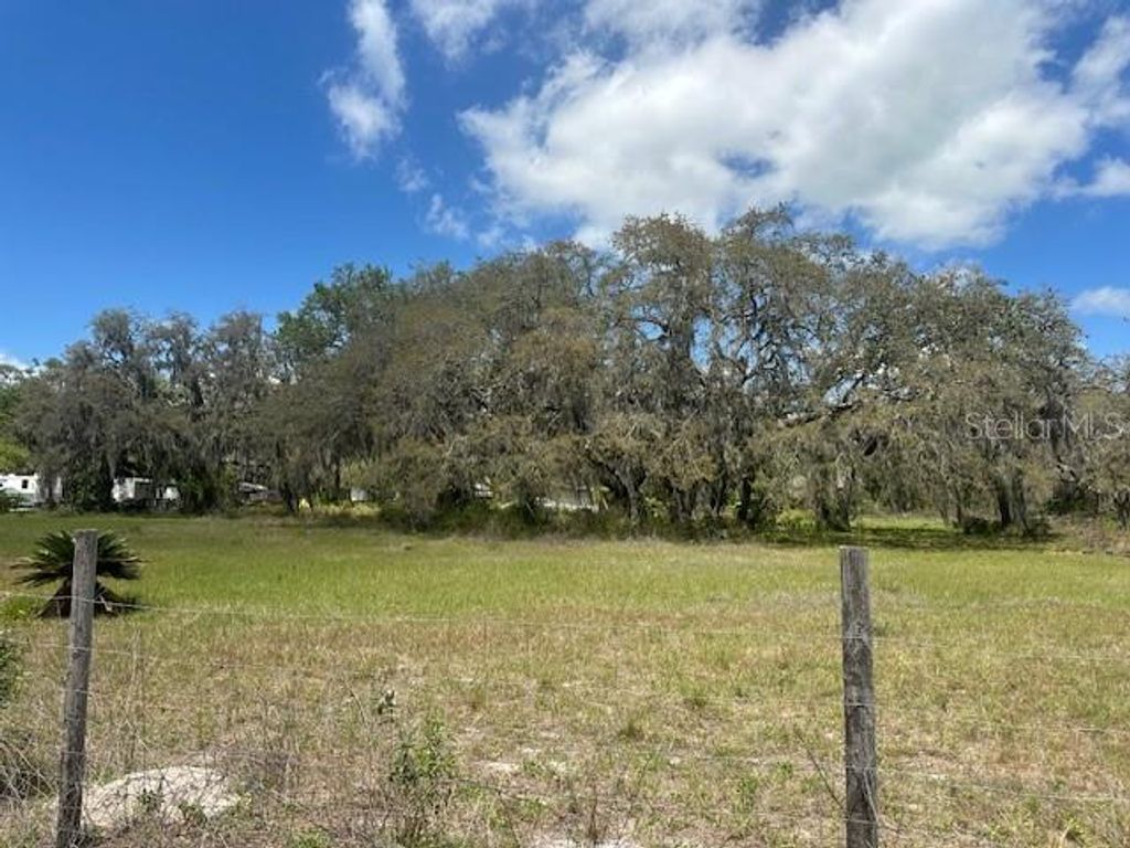 Photo of 29707 Cooper Road, Wesley Chapel, FL 33545 (MLS # TB8451252)