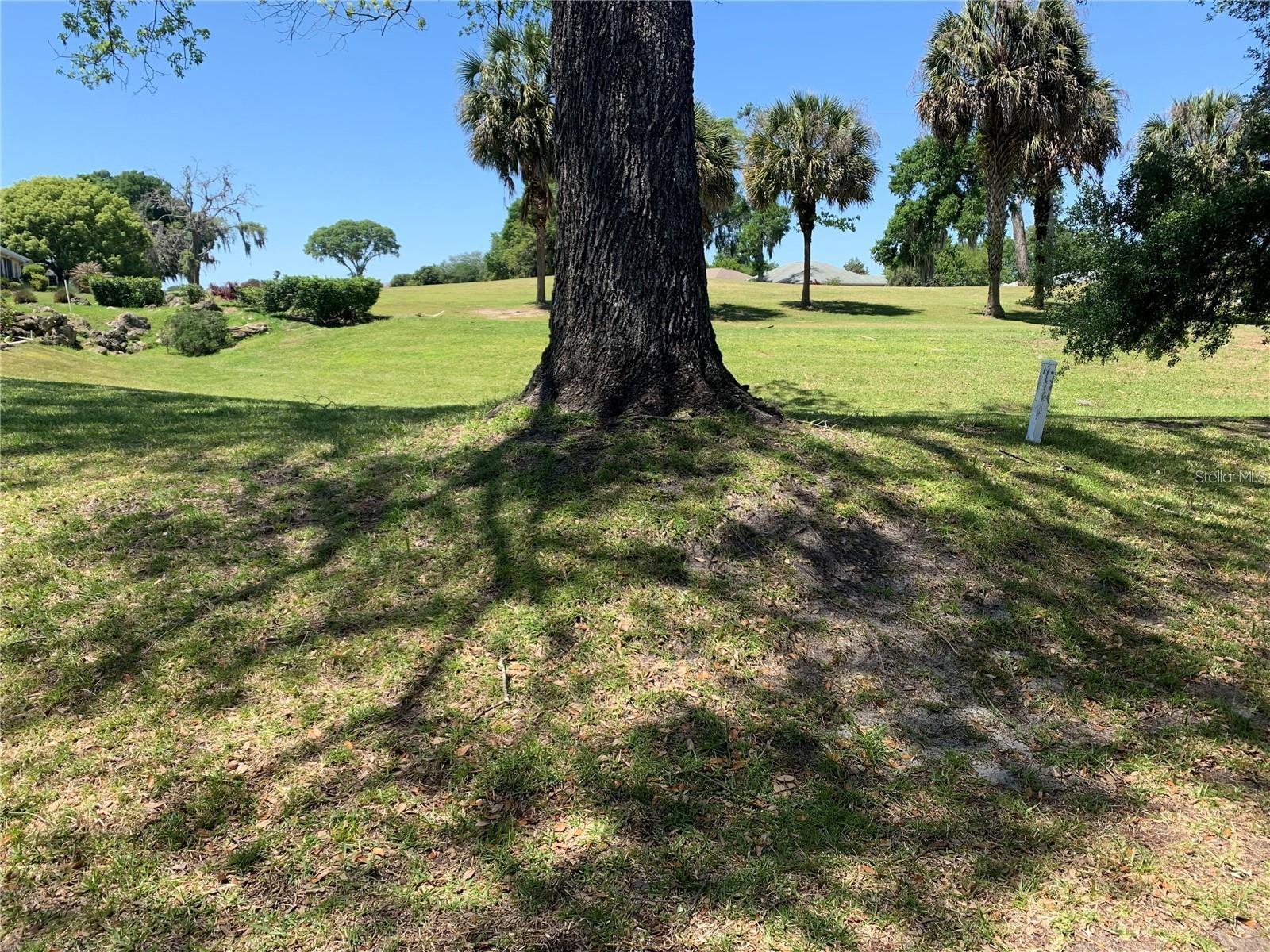 OCALA PALMS UN I - Residential Lease