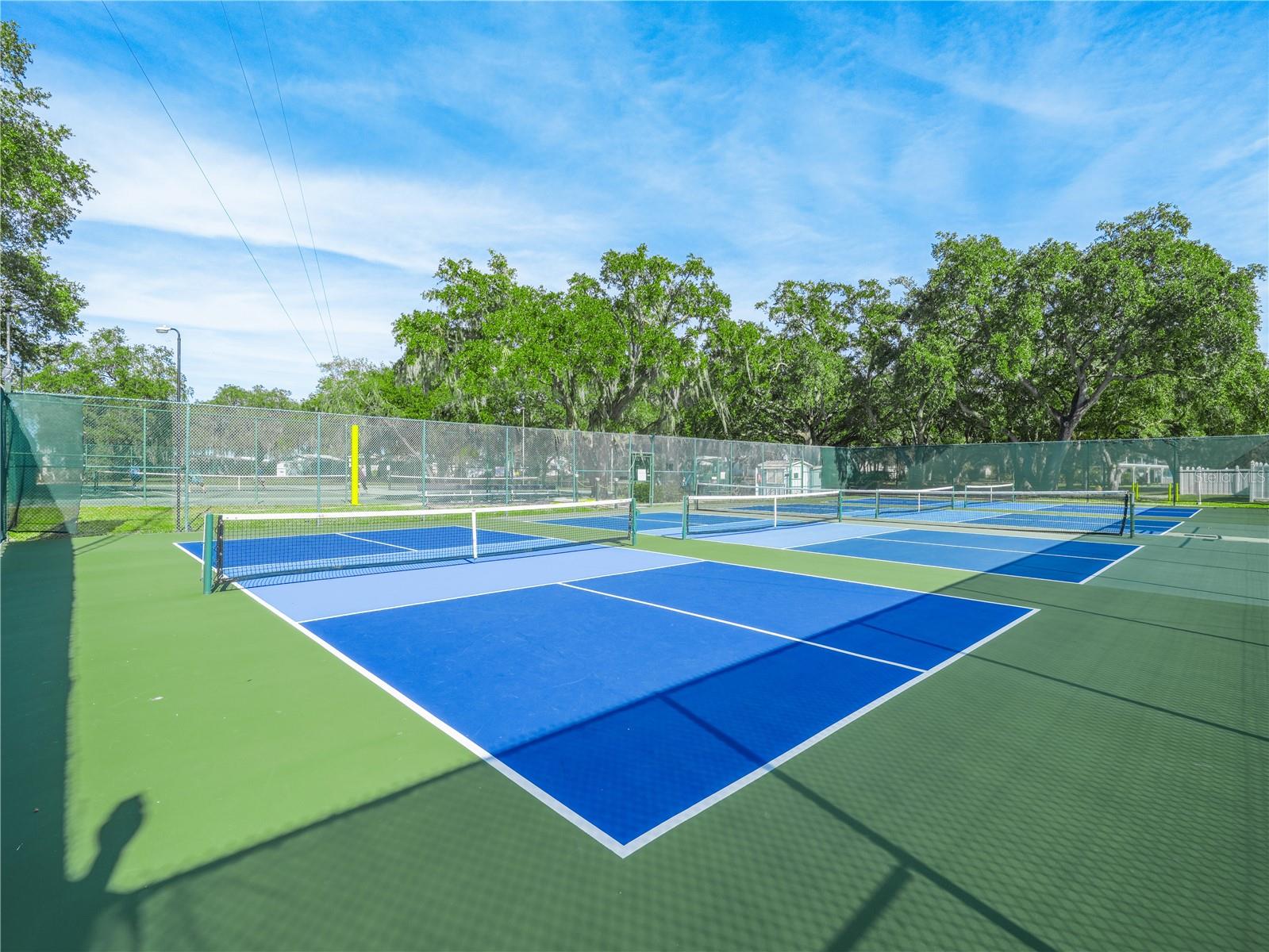 SADDLEBAG LAKE - Land