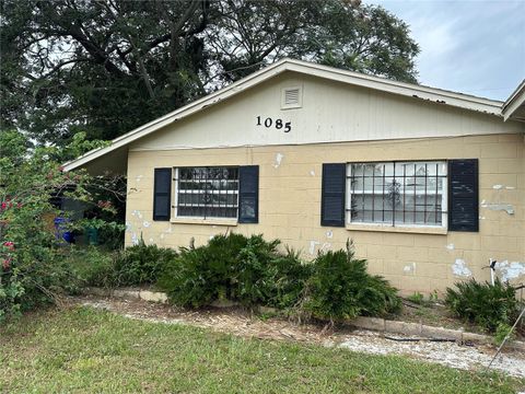 A home in WINTER GARDEN