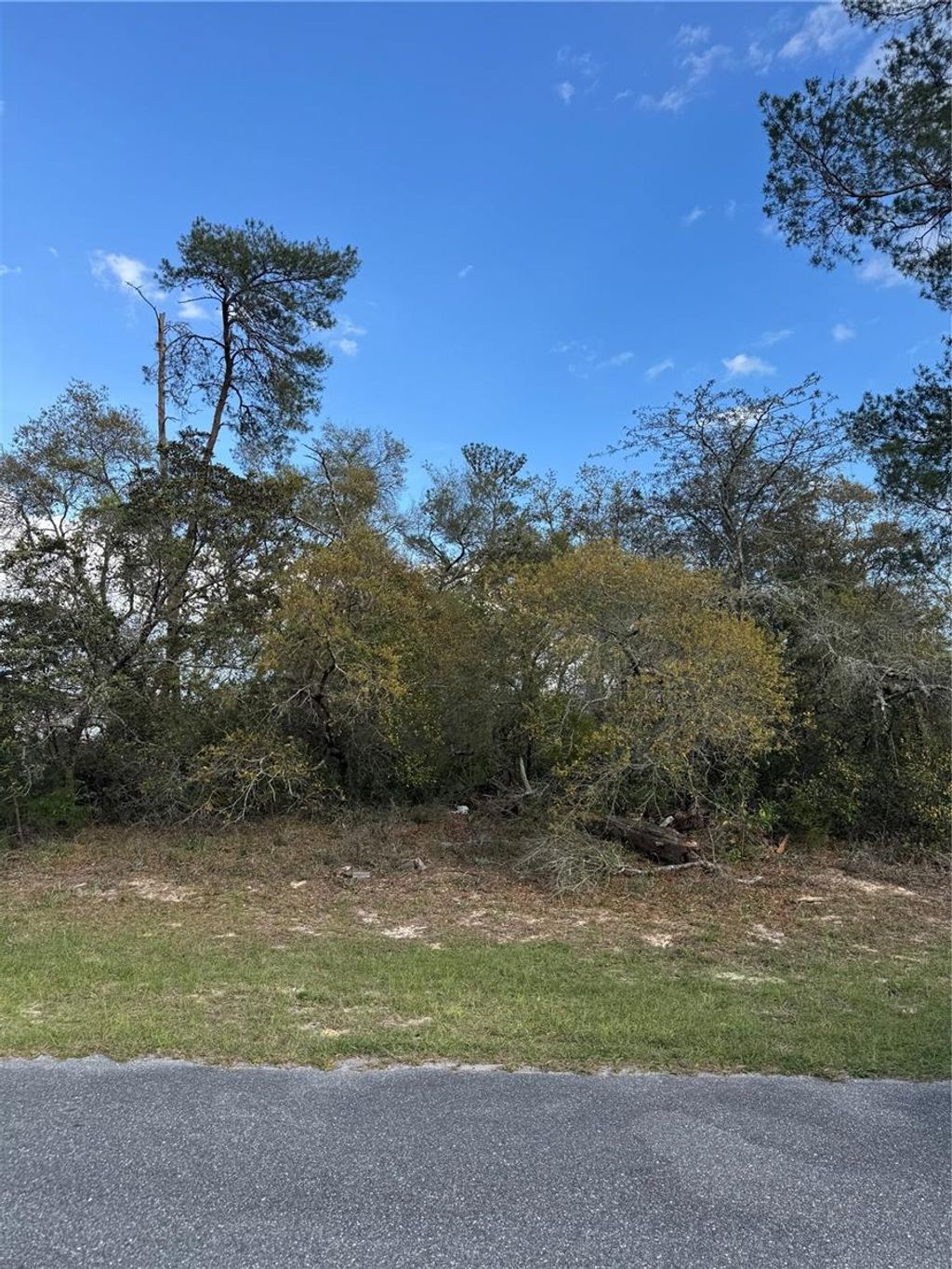 Photo of Tbd Marion Oaks Golf Rd., Ocala, FL 34473 (MLS # OM722108)