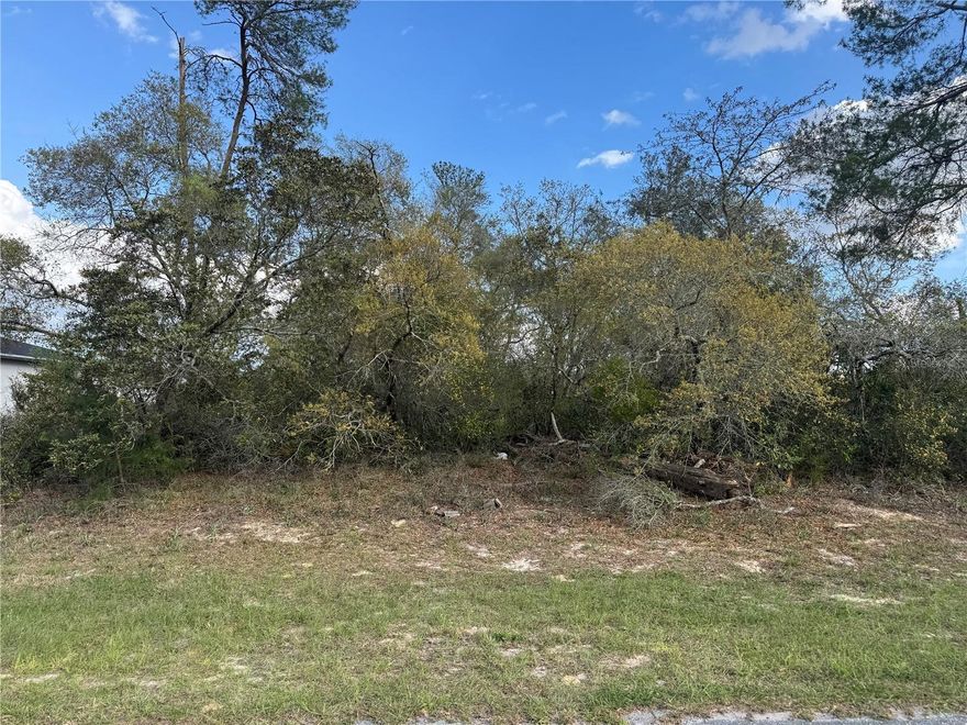 GREAT LOT TO BUILD YOUR HOME ON AN OVERSIZED LOT .33 ACRES. CHOOSE YOUR OWN BUILDER  NO FLOOD ZONE AND NO HOA. CLOSE TO HOSPITALS, RESTAURANTS, SHOPPING AND  EASY ACCESS TO MAIN HIGHWAY I-75 AND A FEW MILES FROM  HIGHWAY 200 
FAST GROWING AREA TO INVEST! DON'T MISS THE OPPORTUNITY!
(USE 320 MARION OAKS GOLF RD. FOR GPS AND PROPERTY IS RIGHT NEXT TO IT)