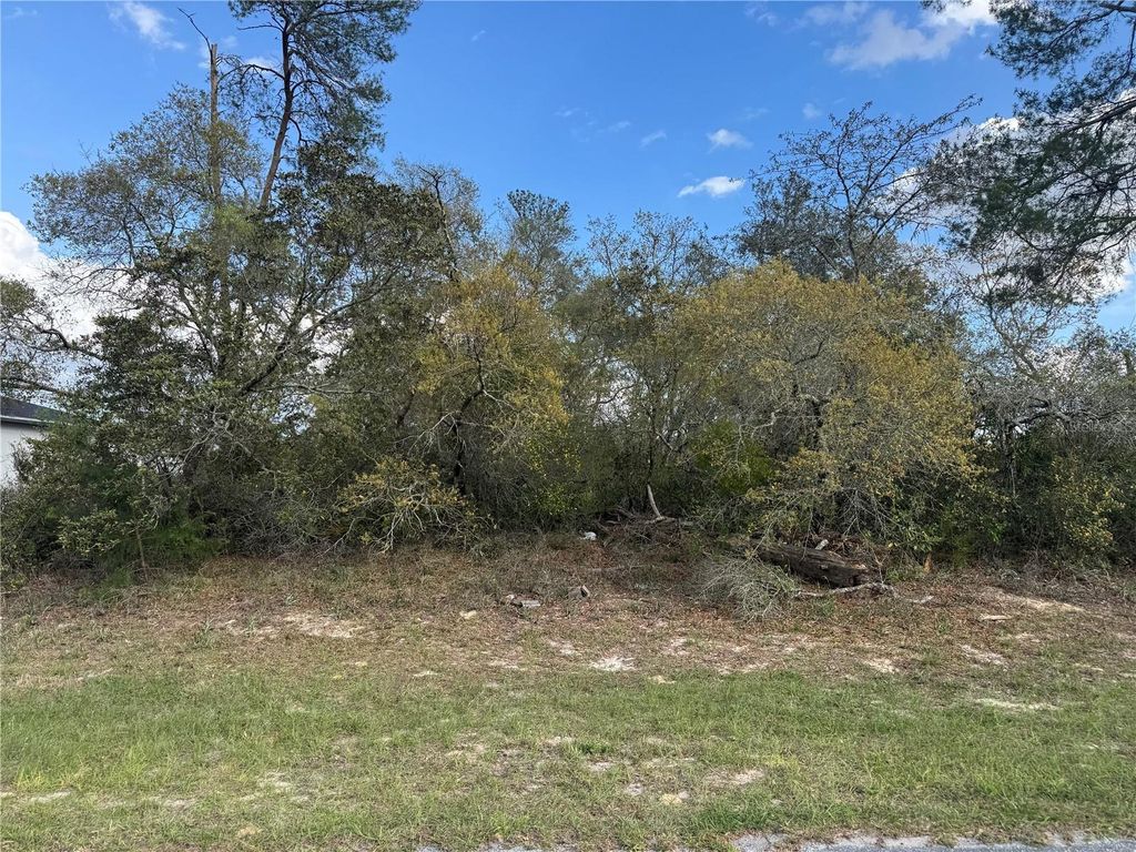 Photo of Tbd Marion Oaks Golf Rd., Ocala, FL 34473 (MLS # OM722108)