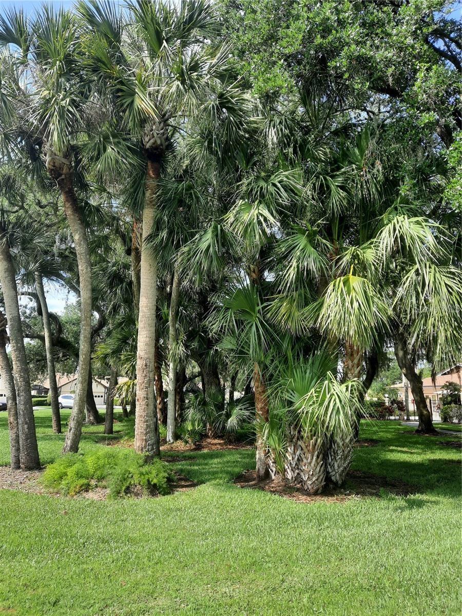 AVISTA OF PALM-AIRE SEC 1 PH 2 - Residential