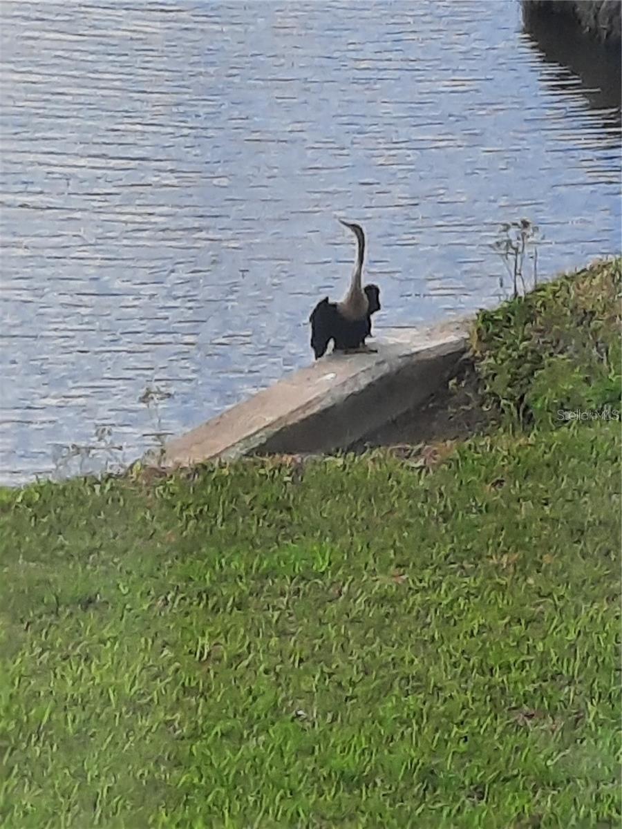 AVISTA OF PALM-AIRE SEC 1 PH 2 - Residential