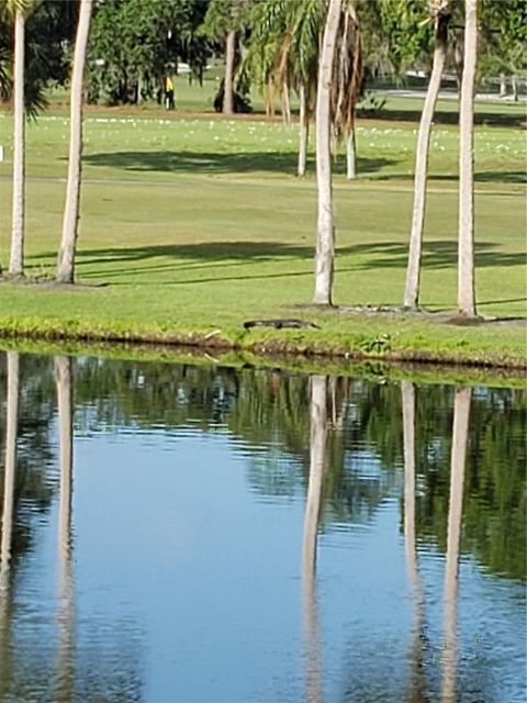 Photo of 5709 Avista Drive #4108, Sarasota, FL 34243 (MLS # A4691666)