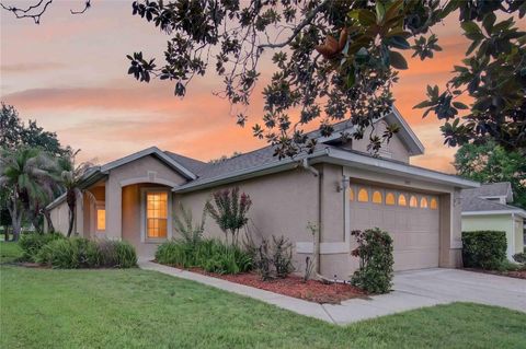 Photo of 1005 Saint Ives Court, Mount Dora, FL 32757 (MLS # G5113618)