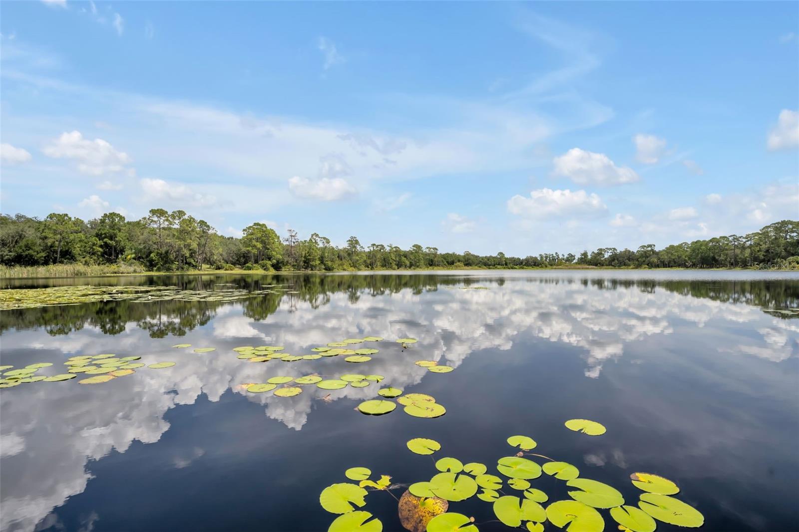 WILSONS 01/4 SW 01/4 - Residential