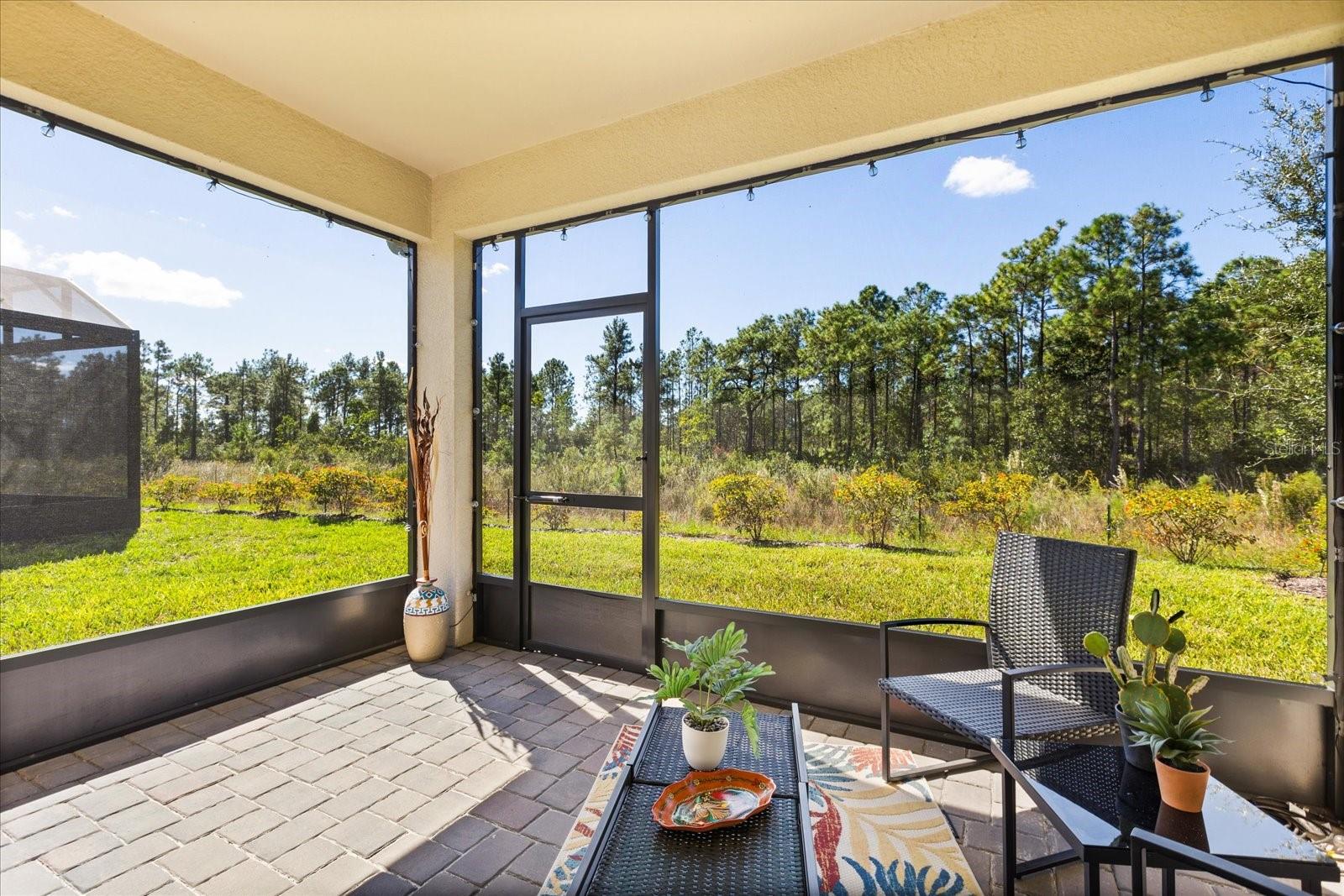 DEL WEBB SUNBRIDGE - Residential