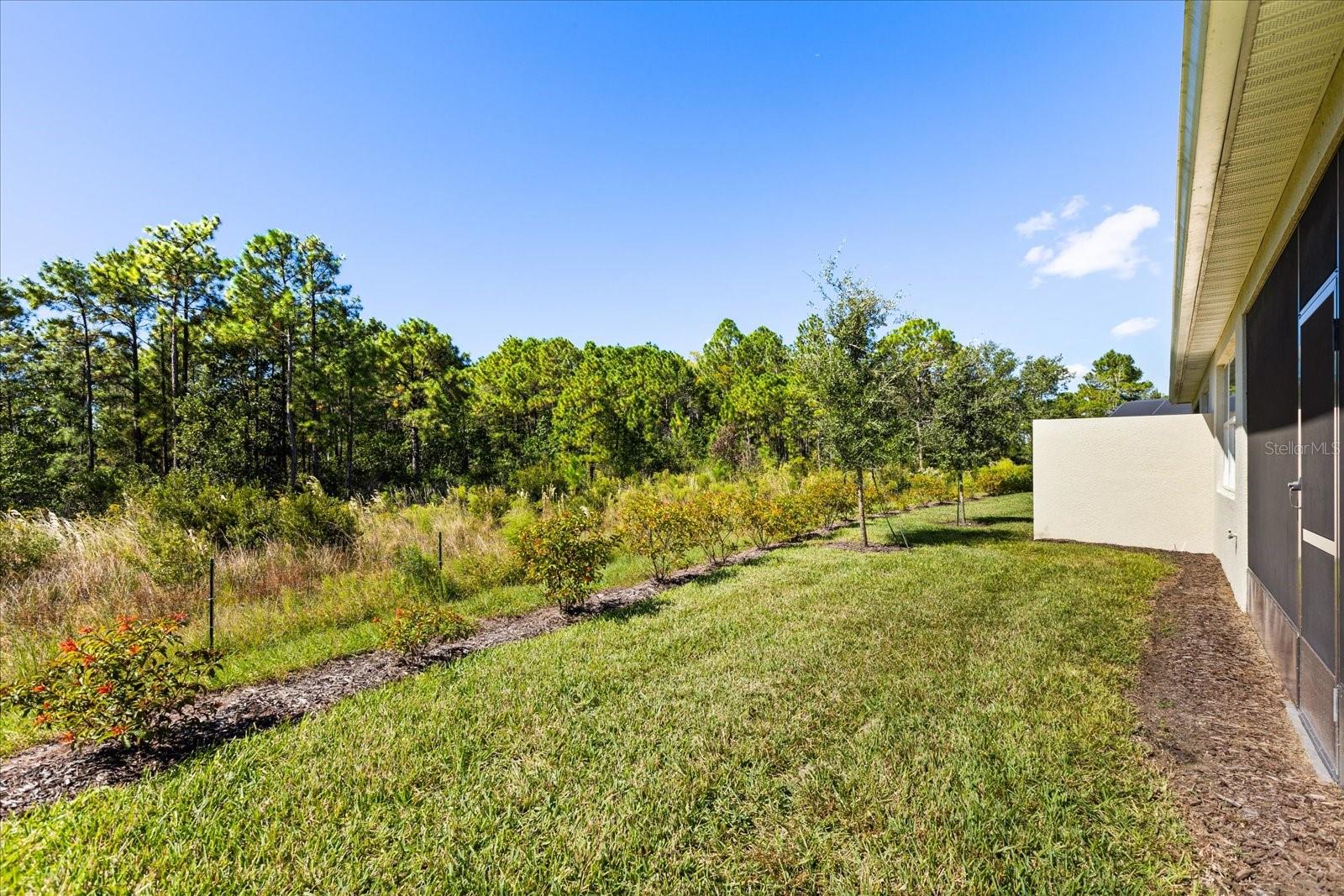 DEL WEBB SUNBRIDGE - Residential