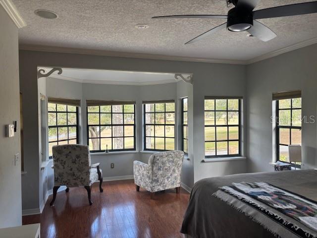 SANLANDO SPGS - Residential