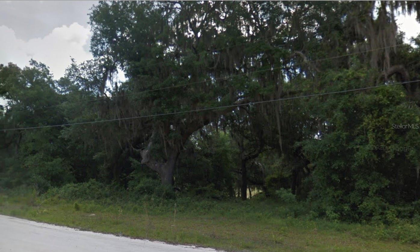 Welcome to Silver Springs, located in the great Sunshine State! An unincorporated community in beautiful Marion County, Silver Springs is known for its world famous artesian springs and the historic Silver Springs State Park. This area is surrounded by natural beauty and endless outdoor adventures, including the Ocala National Forest, Juniper Springs, and countless lakes, rivers, and parks, perfect for fishing, kayaking, hiking, horseback riding, camping, and picnicking.This property is in Land-O-Lakes Estates with R4 zoning, allowing for single-family, two-family, manufactured homes, or even multi-family residences, giving you the flexibility to build your dream retreat.
Outdoor enthusiasts will love the prime location near the US Forest Service Ocala National Forest, with opportunities for hunting, fishing, and exploring nature at its best. Don’t miss your chance to own a slice of paradise surrounded by adventure and beauty!