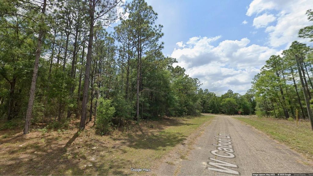 Photo of 458 W Cabot Lane, Dunnellon, FL 34434 (MLS # OM727866)