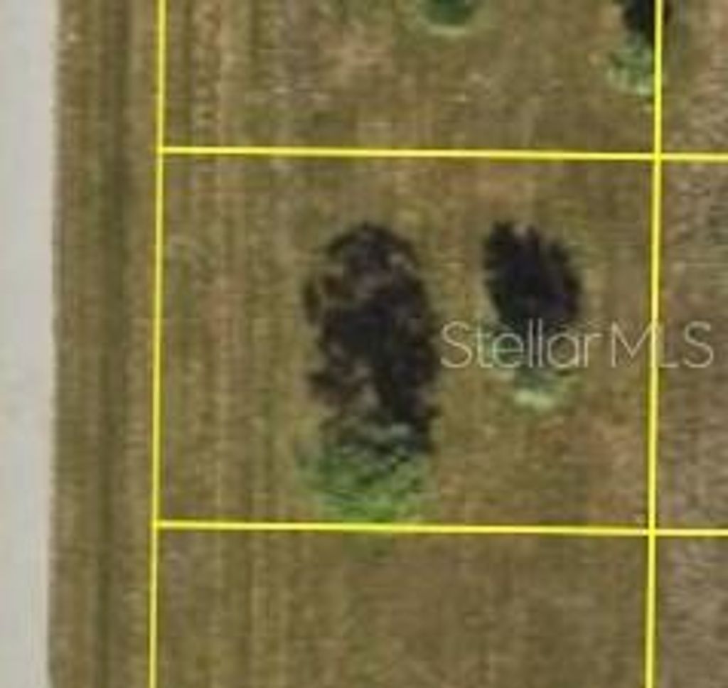 Photo of 6 Elm Drive, Placida, FL 33946 (MLS # D6143624)