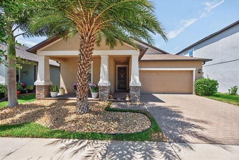 9832 SAGE CREEK DRIVE SUN CITY CENTER FL 33573