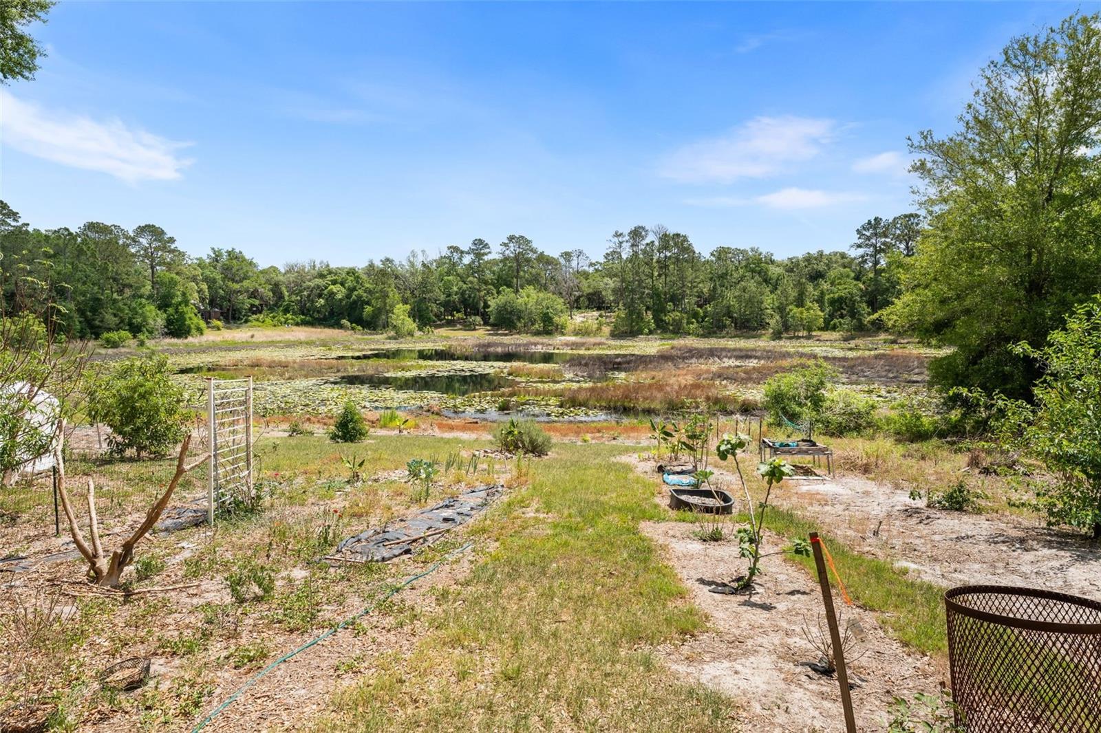 WOODS & LAKES - Residential
