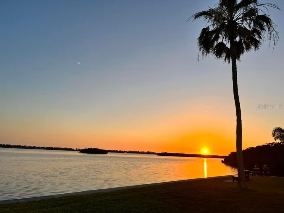 PARADISE BAY ESTATES CO-OP - Residential