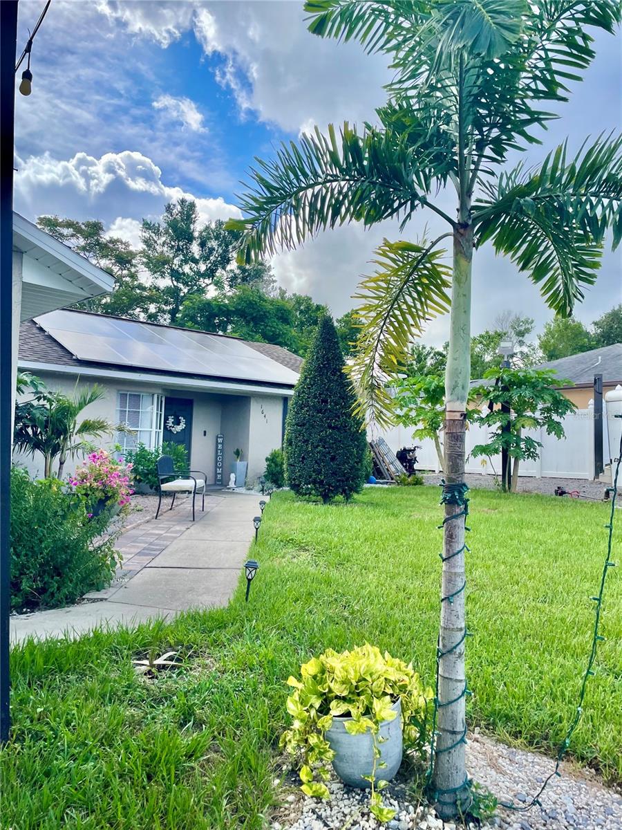 Welcome to a cozy, move-in ready home with a pool! This beautifully updated, solid block home located in Deltona Lakes with NO HOA! ideal for homeowners who need space for an RV, fishing boat, or truck.
Combining classic charm with modern finishes, this home creates a warm and inviting atmosphere throughout. Situated in the highly desirable Deltona neighborhood, it offers a spacious split floor plan, featuring 3 bedrooms, 2 bathrooms, and a 2-car garage. Inside, you'll find a formal living room with elegant laminate flooring that flows seamlessly through the main living areas. The separate dining room includes double glass doors that open to a covered patio and screened pool are perfect for indoor-outdoor living. The primary bedroom features a generous walk-in closet and a private en-suite bathroom with a walk-in shower. Two additional bedrooms with luxury waterproof vinyl flooring and share a full guest bathroom with a tub. The kitchen has been upgraded with quartz countertops with a breakfast bar, making it both functional and stylish. A washer and dryer hookup is conveniently located in the garage.
Step outside to enjoy a fully fenced, private backyard, ideal for relaxing or entertaining. Mature trees, including papaya trees, in the garden add a tropical touch and provide fresh fruit right from your yard. Host BBQs and gatherings in the screened-in swimming pool area and enclosed patio—your personal retreat awaits!
This home also offers easy access to I-4, hospitals, schools, beaches, restaurants, shopping centers, and more! Call to schedule a showing today!