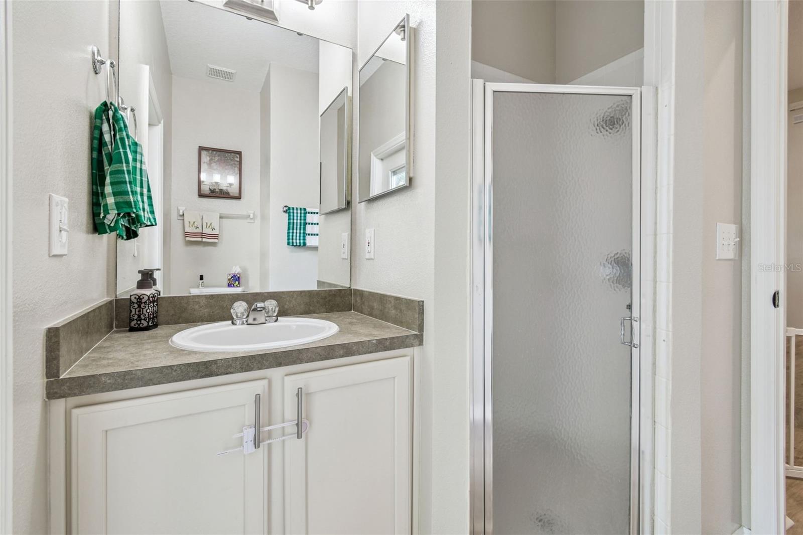 CARROLLWOOD PRESERVE - Residential