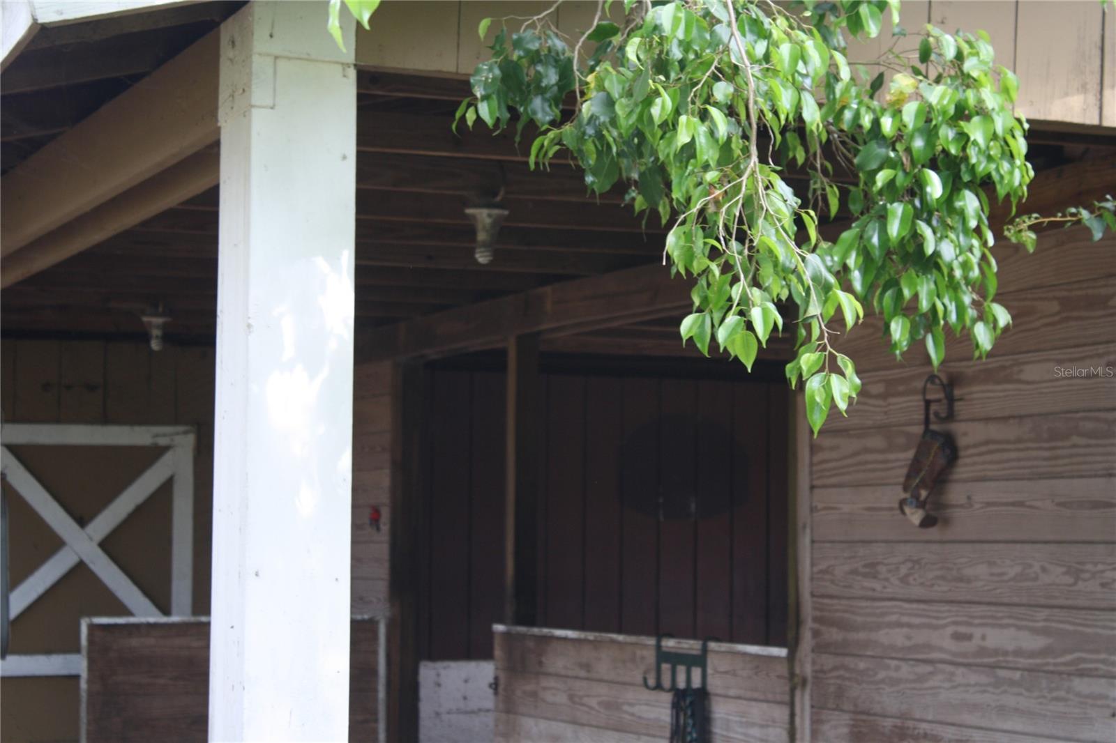 PINELLAS GROVES - Residential Lease