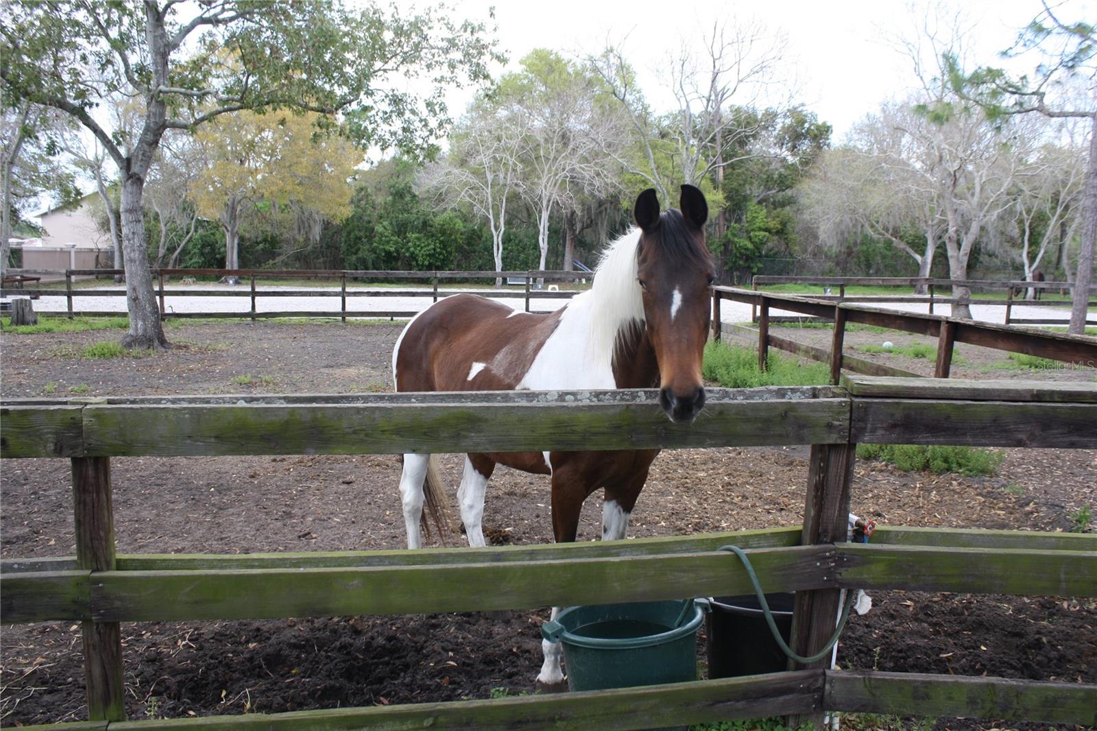 PINELLAS GROVES - Residential Lease