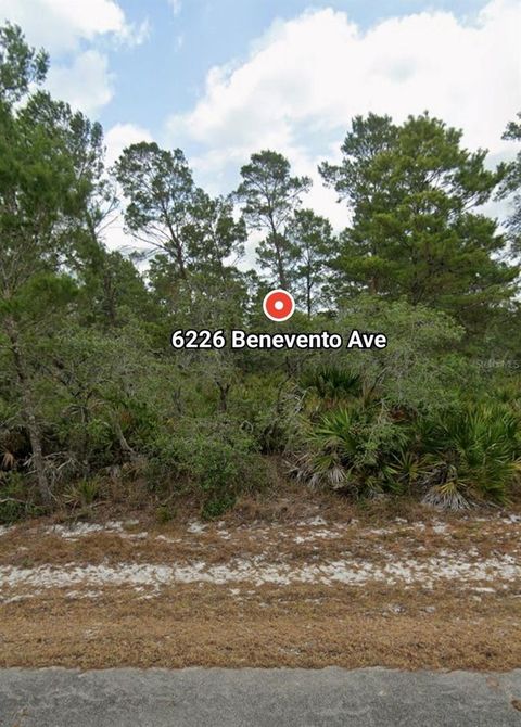 6226 BENEVENTO AVENUE SEBRING FL 33872