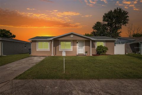 Photo of 10111 Brandywine Lane, Port Richey, FL 34668 (MLS # W7878377)