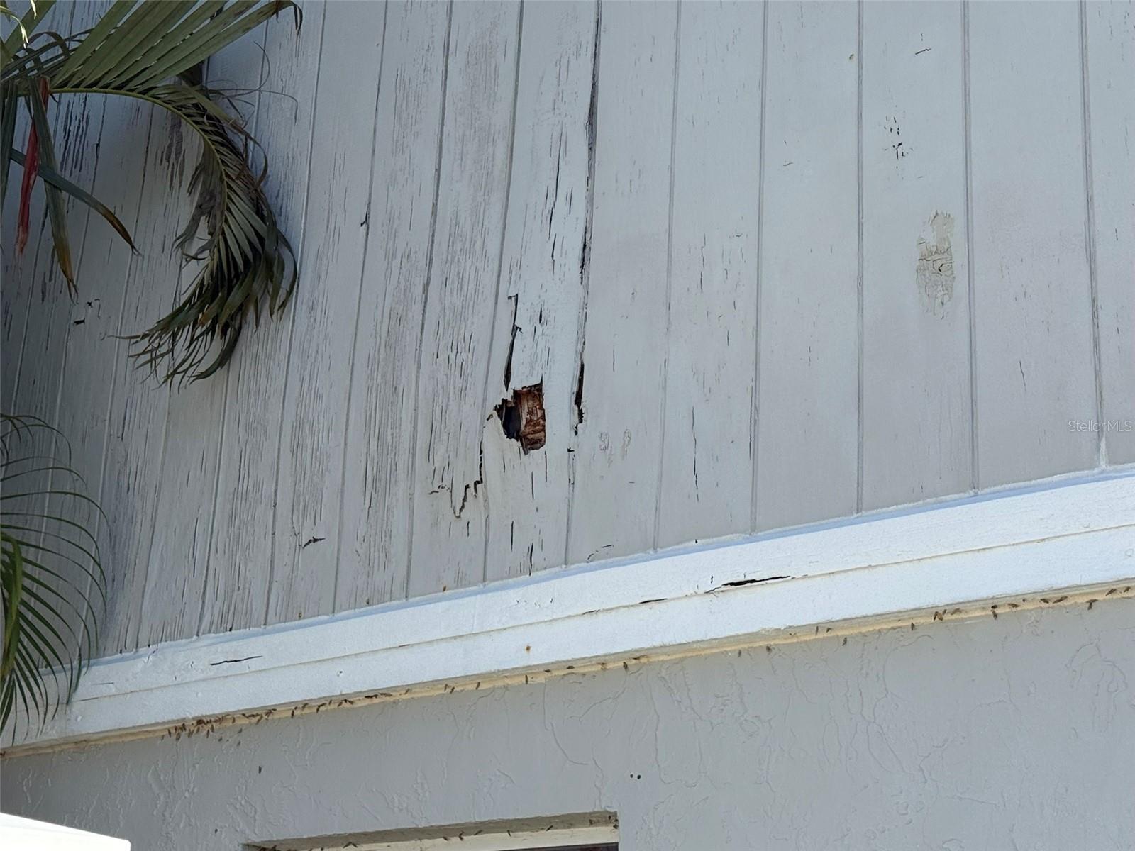 CRESCENT LAKES PH 3 - Residential